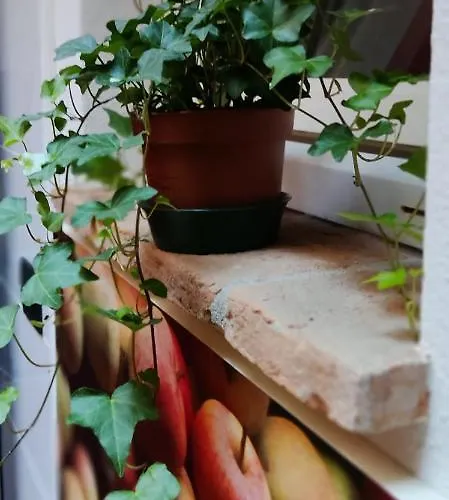 Dimora Al Saraceno 4* Ferrara