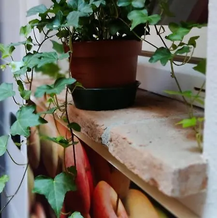 Dimora Al Saraceno 4* 페라라